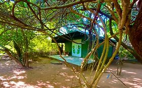 Yala Podi Hoona Bush Camp